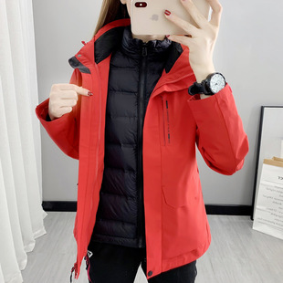 �Ї��tɫ��q��đ���b�_�h����Ů��ڴ��ɲ�ж����һ�Fُӡ��LOGO
