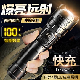 手电筒;头灯头戴电筒;野营/露营灯