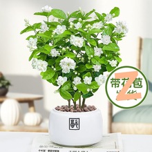 ���������ذ�����_���ļ�������B�҃��̨���ܾGֲ��òݷ���