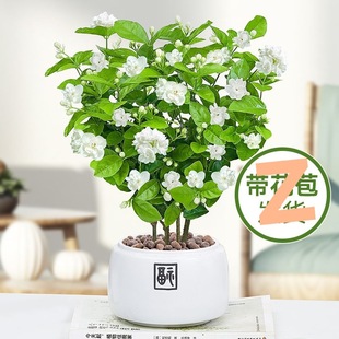 ���������ذ�����_���ļ�������B�҃��̨���ܾGֲ��òݷ���