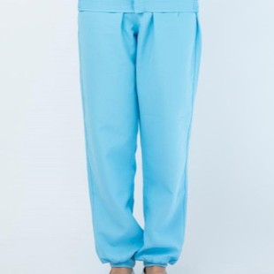 Dust-free Anti-static Hooded Split Work Clothes Pants Food Factory Front Section Medicine Workshop Purified Clothes Pants