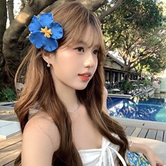 夏日多巴胺扶桑花花朵发夹女侧边刘海鸭嘴夹海边度假风氛围感发饰