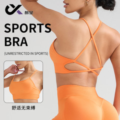 高级感健身美背瑜伽背心上衣运动内衣运动文胸女防震跑步夏季薄款