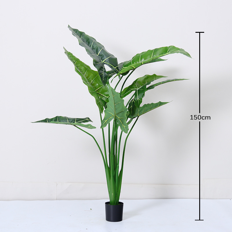 Simulación de estilo nórdico Alocasia, plantas verdes, plantas en macetas, ventanas de interior, decoración de piso a techo, paisajismo, plantas biónicas de Alocasia salis