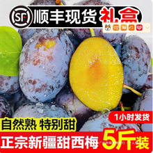 �½���÷���rˮ�����m���Y�а��]���ӿ�ʲ��÷�r����ڌ�ʯ�o