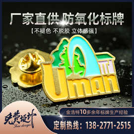 标牌厂家 金属徽章logo公司纪念胸章 合金标牌珐琅校徽胸针制作
