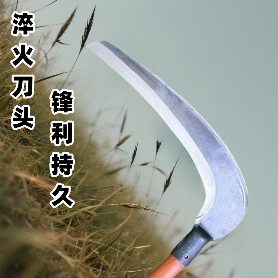 111111111111111_副本.png