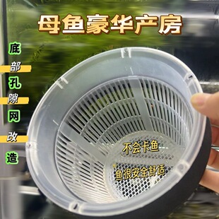 ���PƯ�����ÿ�ȸ�~���xĸ�~�A�θ��x�еײ�3���׾W