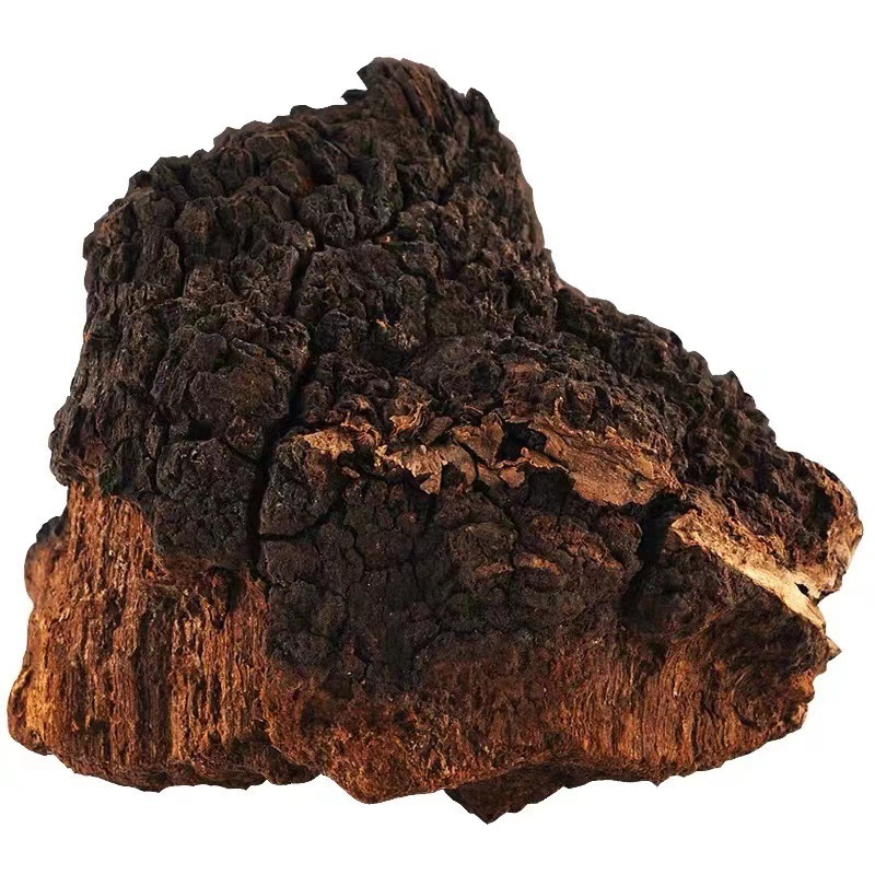 卸売りは東北樺の木の涙樺の木の茸樺のボビン菌をばら積みして無料で粉の現物を打って大きい塊を卸売りします。|undefined