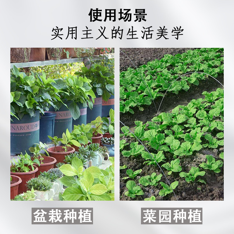 针筒式播种器手动育苗点播神器家用蔬菜籽花卉园艺苗穴盘小型工具|undefined