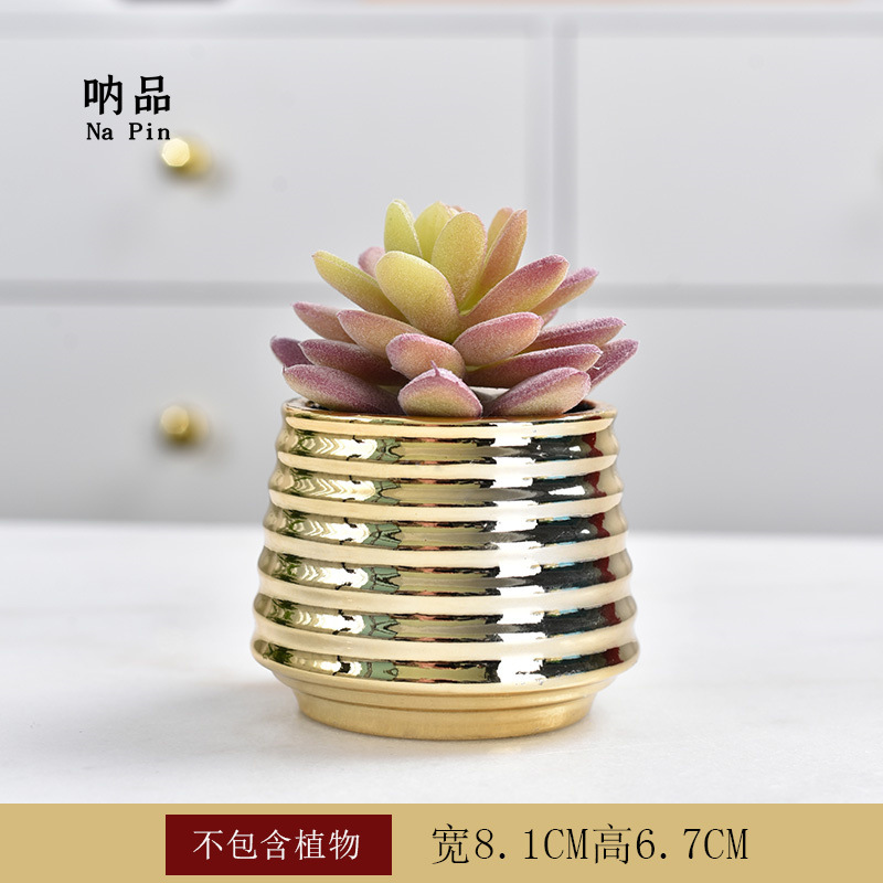 Maceta suculenta de cerámica con baño dorado, estilo fruta