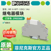 �¹������˹�̵���ģ����ʽ����RIF-0-RPT-12DC/ 1AU 2903360