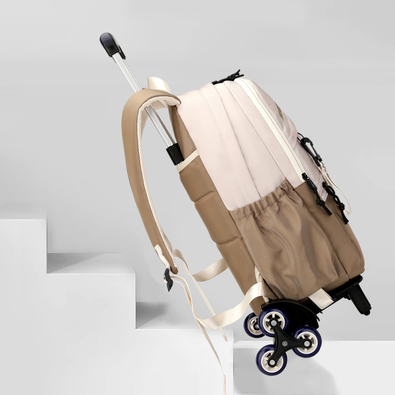 Mochila de pescado natural para niños de grado 3 - 6 con ruedas para subir escaleras, mochila de secundaria secundaria