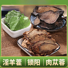 x ɐƬiҰ޽~ɹșݾș