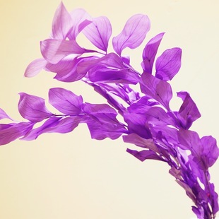 ���~������DIY�Y�в����ֲ��ϻ�Y��ˇܛ�b�b��Ĕz���l�����r��