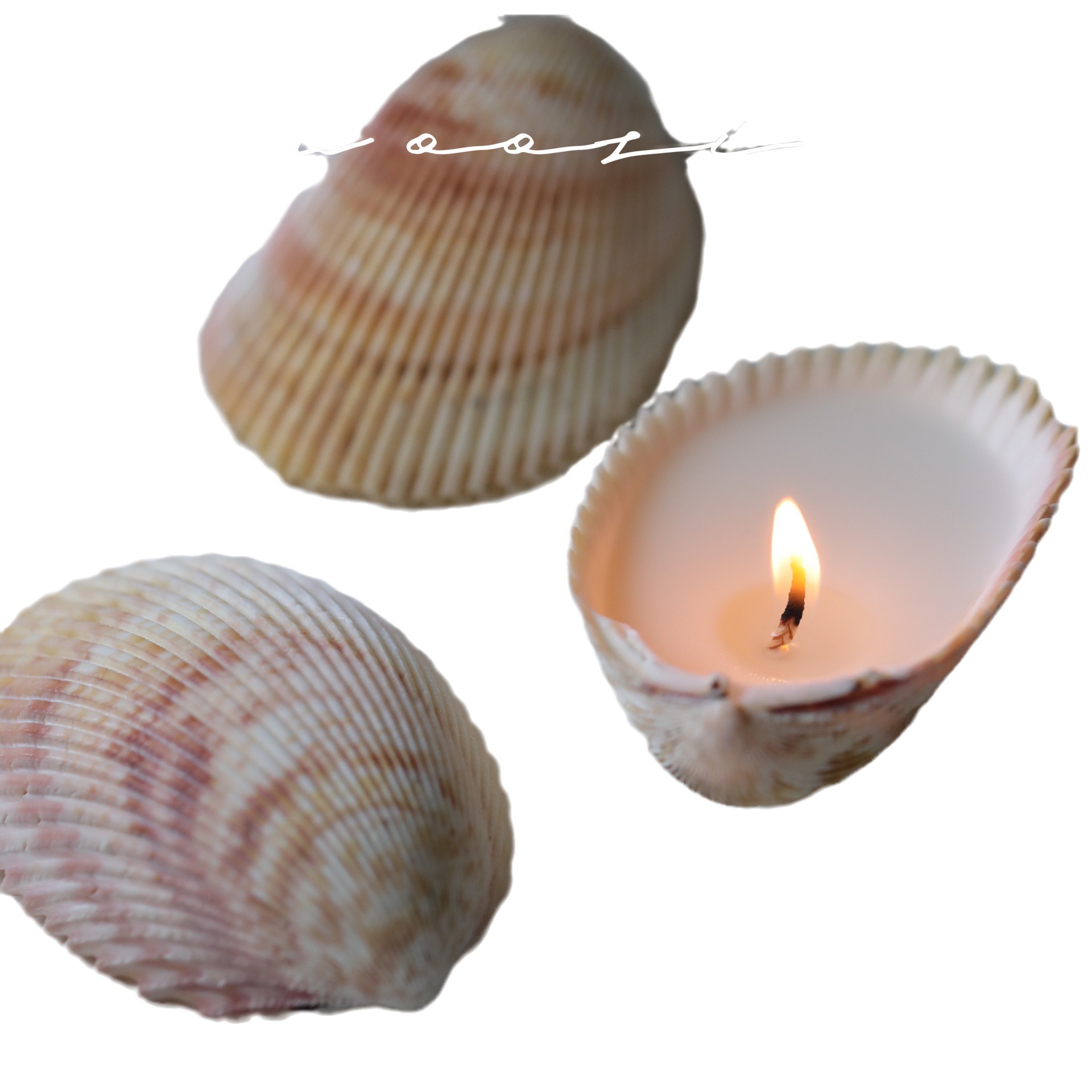 Vela perfumada sem fumaça Niche Shell para aromaterapia, presente de aniversário de menina de alto valor, decoração de quarto, decoração._voghion.com