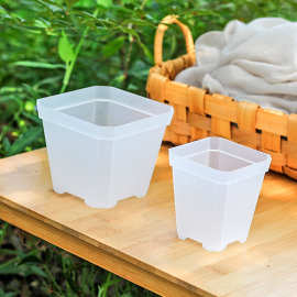 韩式塑料透明小方盆加厚八角盆小花盆多肉盆托架托盘迷你绿植盆栽