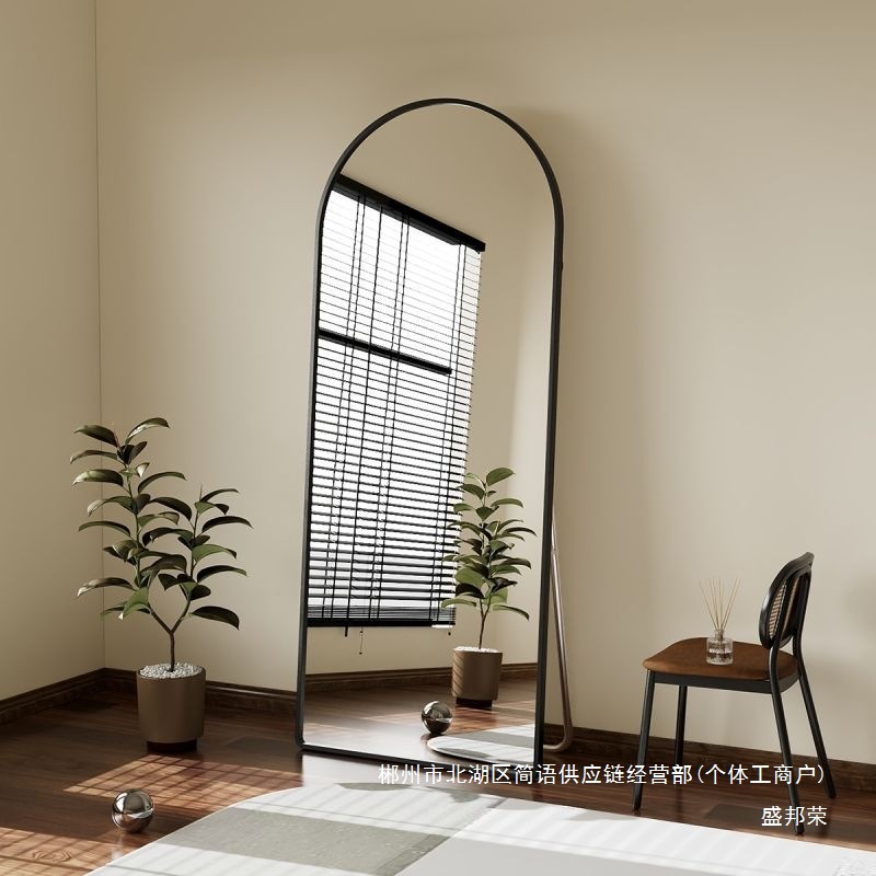 Fábrica directa de espejo de cuerpo entero espejo de suelo red doméstica espejo de ropa tienda de ropa espejo de prueba de dormitorio de chicas colgando la pared image 4