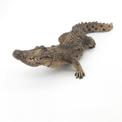 Simulated animal models, wildlife, marine life, home decoration ornaments, cross-border children's early education toys