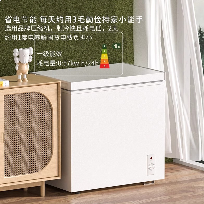 美Meidi的冰柜一级节能138升家用小型迷你冷柜全冷冻冷藏大容量减|undefined
