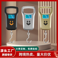 便携式手提电子秤克秤精准50KG高精度随身家用行李快递专用弹簧秤