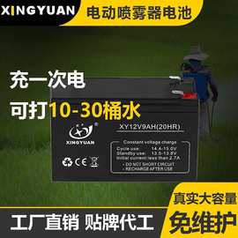 兴源 UPS电梯应急灯太阳能风扇铅酸蓄电池 12V9AH电动喷雾器电瓶