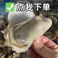 ���۲������r�ش��r�����ȥ�����r���ĵϠ�����������