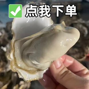���۲������r�ش��r�����ȥ�����r���ĵϠ�����������