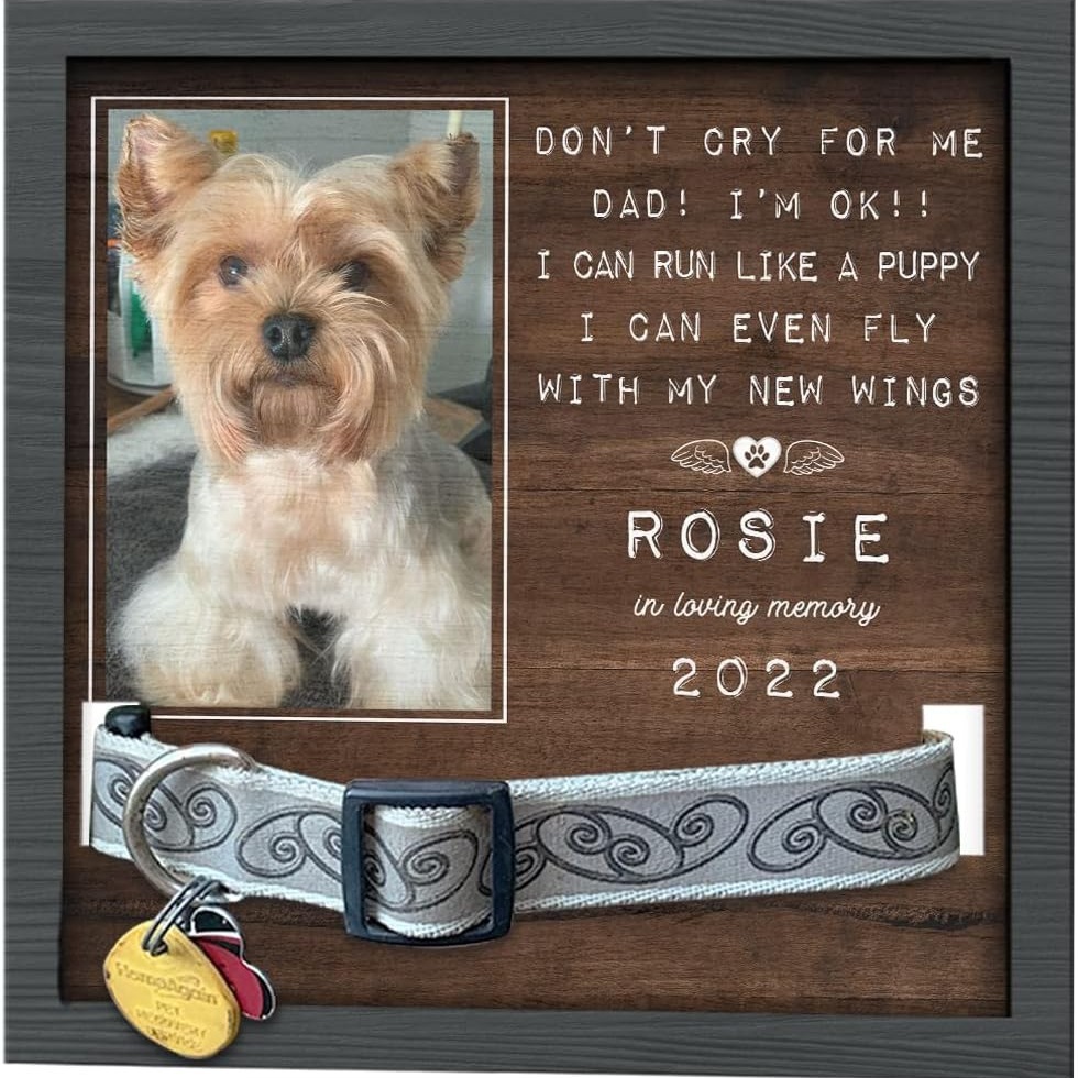 Marco DE FOTOS conmemorativo para mascotas de madera puede contener collar Mesa tridimensional marco de fotos para mascotas regalo perdido para mascotas de madera