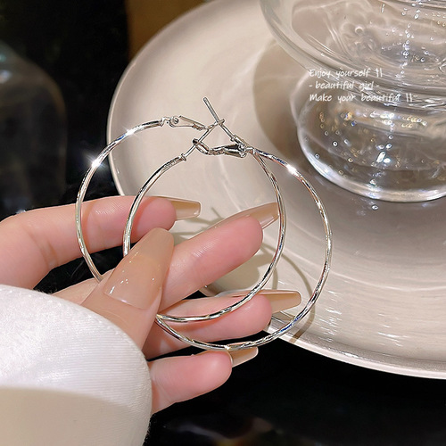 Light Luxury, Niche, Versatile, Stylish, Minimalist, Exaggerated Plain Hoop Earrings for Women, S925 Silver Needle, Fashion Copper Style, Nail Earrings, Accessory