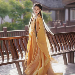 魏晋風漢服の女性春夏のスタイルが漂っています。