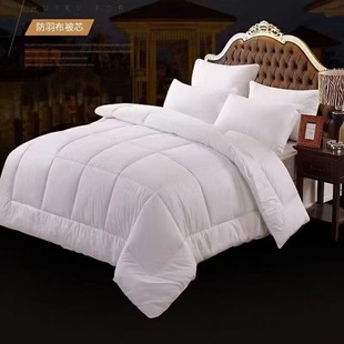 Five hotel linen hotel bedding quilt feather velvet spring and autumn four seasons quilt core manufacturers batch cotton anti-feather cloth