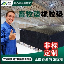 ��ɫ�����|���z�|ţ��|���i���؉|�p���i��؉|ţ���|�������z��