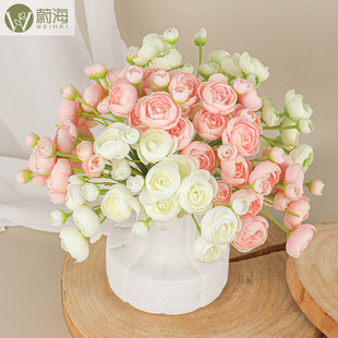 ����¶ɏ���� ��@С���� �Ҿ������b[�� ������������c�zӰ