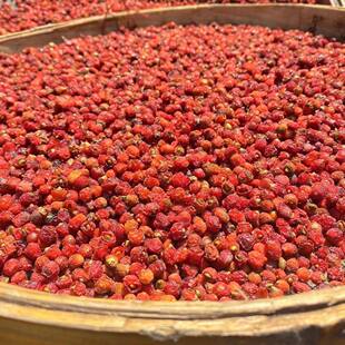 �t��ɼ������ɼ���Ϸ��tɼ�����ݲ��ݾƺ�؛��؛