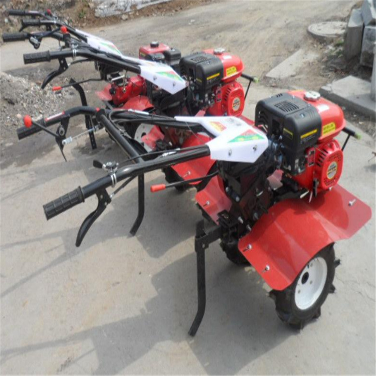 agrícola arroza rotativa multifuncional gasolina diesel desherbamiento de suelo suelto máquina de extienda agrícola y forestal pequeña máquina de microcultivo de suelo