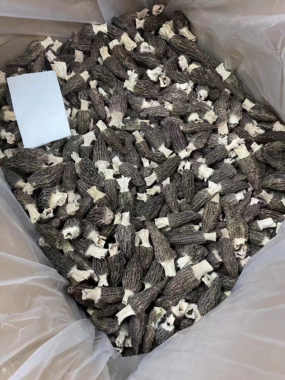 微信图片_20230224043738