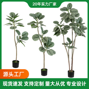 �p�ݷ��������~�䱱�W�L�^�~��ֲ��Ҿӿ͏d�̈��Ƶ��쾰�Gֲ�F؛