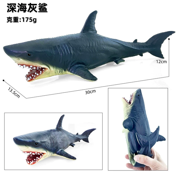 Big white shark