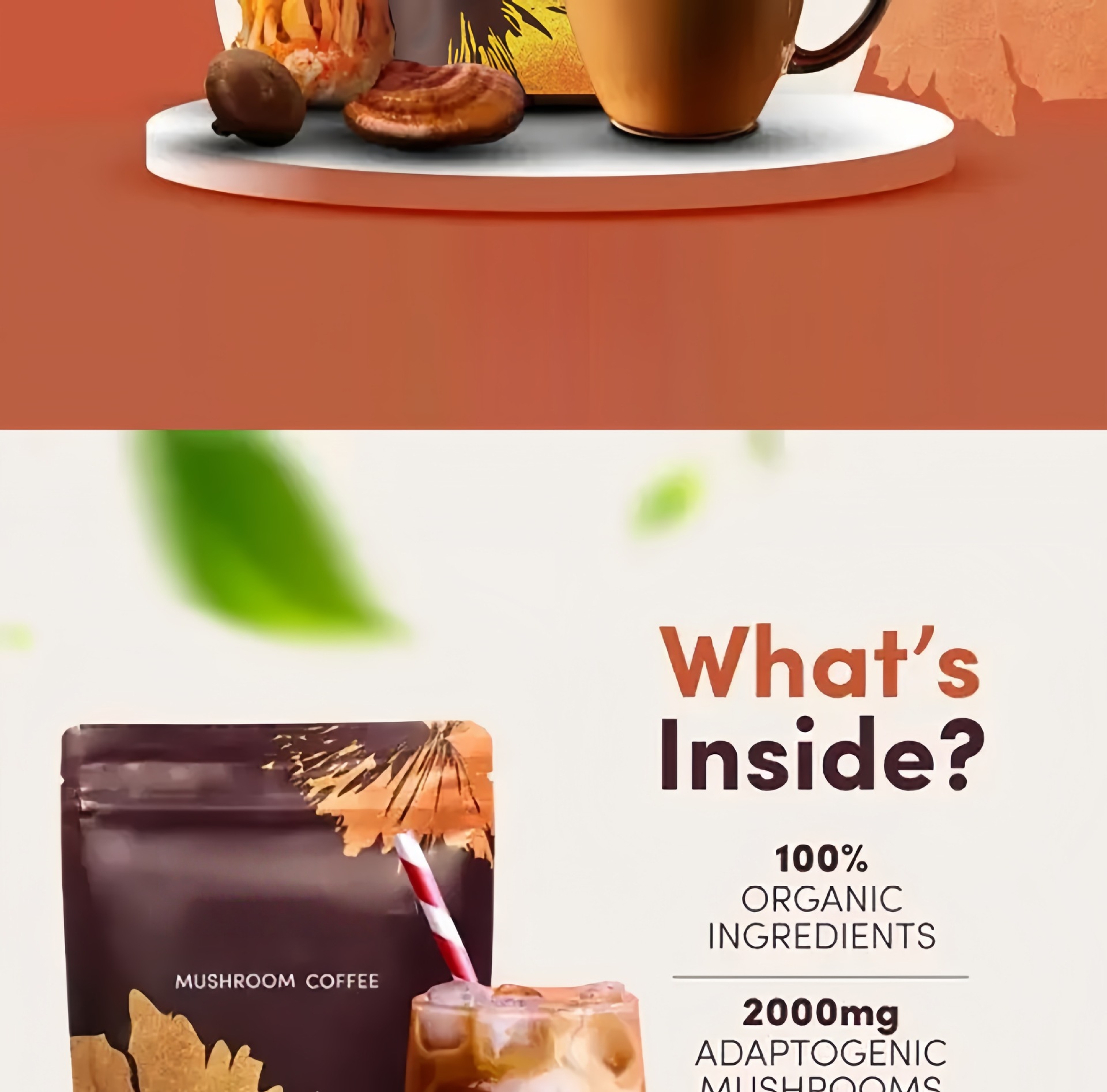 Mushroom Coffee Instant Black Coffee with Lingzhi Reishi and Matcha Sugar Free 180g key features