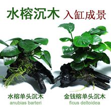 �~����ˮ�݃�ˮ����ˮ�ų�ľ���wˮ�����쾰�b��˳��ײ��õ�ɰ