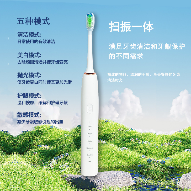 Spot Wholesale Sweep-Vibration Integrated Sonic Electric Toothbrush Rechargeable Smart Smile Whitening Couple Soft Hair Mute
