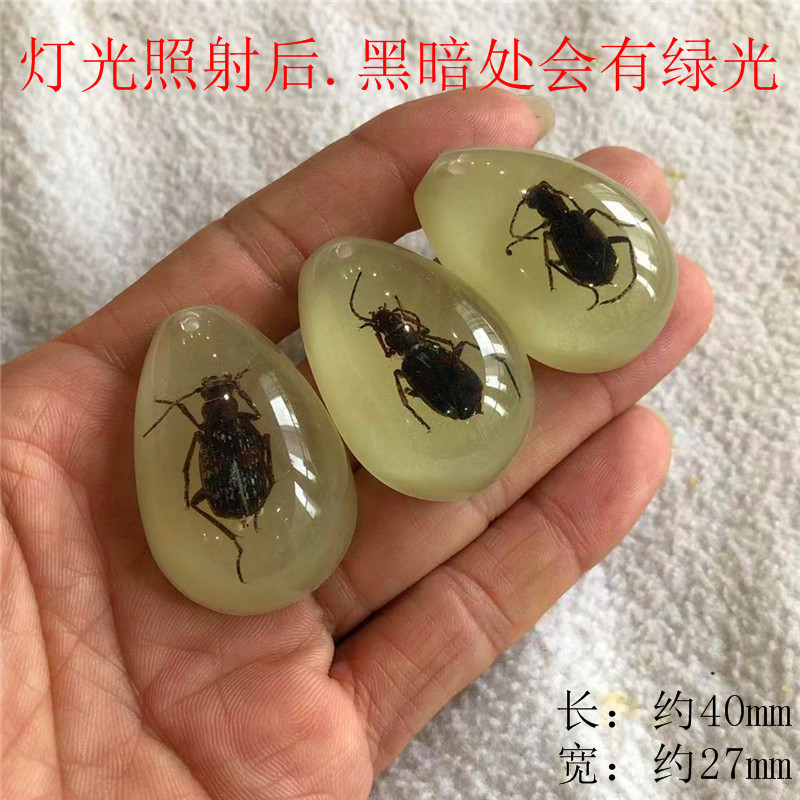厳選された昆虫琥珀標本、サソリ、蝉、ブラインドボックス、子供向けギフト、教科書、学習発掘、考古学ペンダント、Sサイズ|undefined