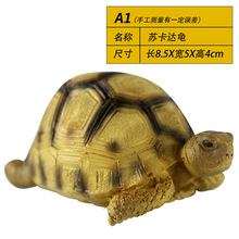 A1�����������������ָ������ģ����Ʒ��֬�b�Ʒ�[���쾰