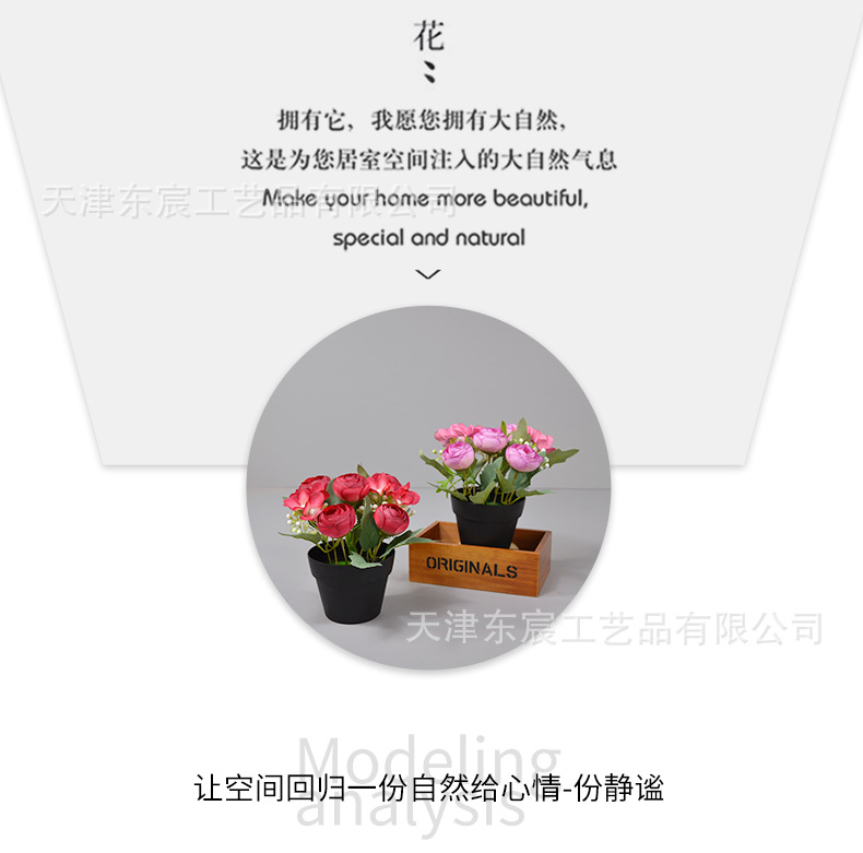 详情_10.jpg