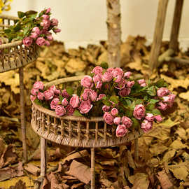 复古焦边小玫瑰 花假花摆件家居软装布景材料 欧式绢花咖紫色