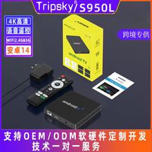 网络机顶盒S905L双频网络高清家用安卓14电视机顶盒跨境货源批发