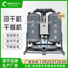 3.8立方低露点微熱無熱再生吸着式乾燥機工場工業圧縮ガス乾燥機