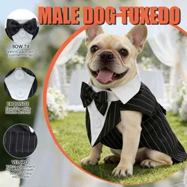 狗狗服装;狗狗牵引;宠物推车