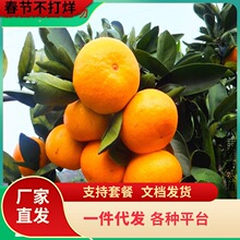 ɰ�ǽ��������ɳ�����Ә����������o���٘������l�۽�